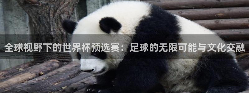世界杯第一场比赛：全球视野下的世界杯预选赛：足球的无限可能与文化交融