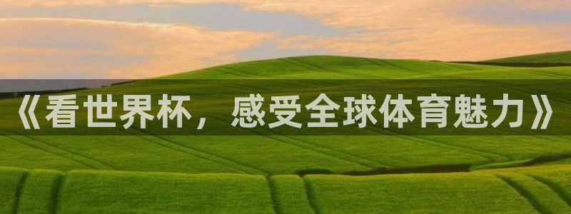 世界杯直播平台：《看世界杯，感受全球体育魅力》