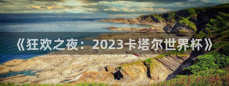足球世预赛：《狂欢之夜：2023卡塔尔世界杯》