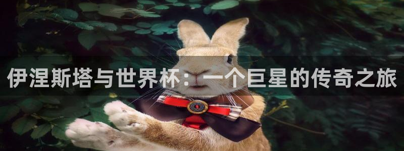 2026年世界杯对阵图：伊涅斯塔与世界杯：一个巨星的传奇之旅