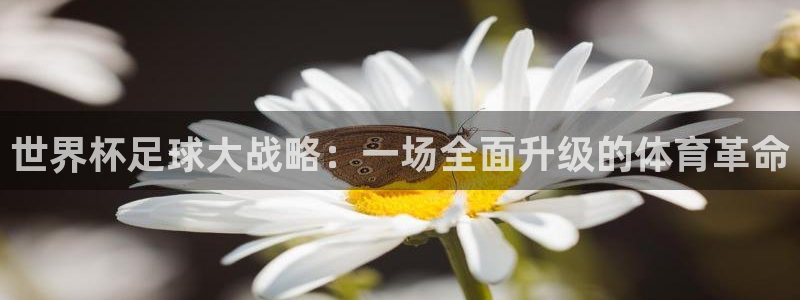 世界杯预选赛规则：世界杯足球大战略：一场全面升级的体育革命