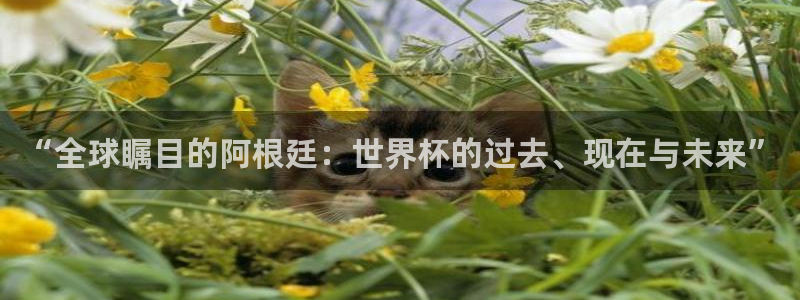 2026世界杯亚洲区预选赛赛程：“全球瞩目的阿根廷：世界杯的过去、现在与未来”