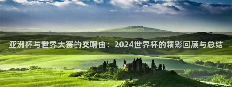 世界杯预选赛规则:亚洲杯与世界大赛的交响曲:2024世界杯的精彩回顾与总结