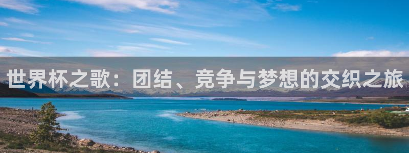 2006年世界杯:世界杯之歌:团结、竞争与梦想的交织之旅