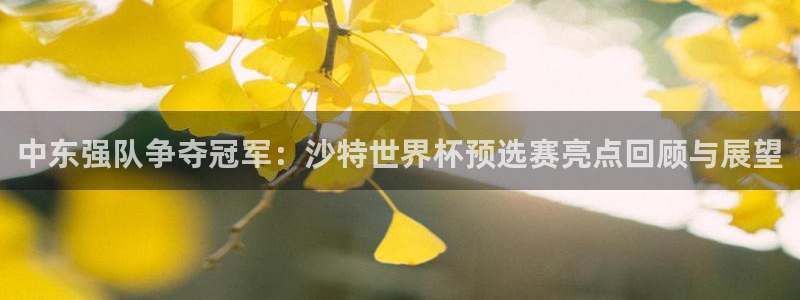 2026世界杯欧洲预选赛赛程表:中东强队争夺冠军:沙特世界杯预选赛亮点回顾与展望