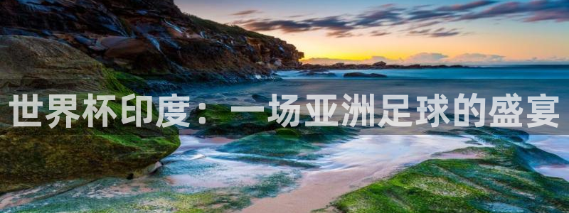世界杯球队:世界杯印度:一场亚洲足球的盛宴