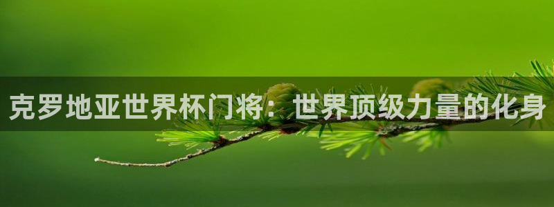 2026年世界杯赛程表时间：克罗地亚世界杯门将：世界顶级力量的化身