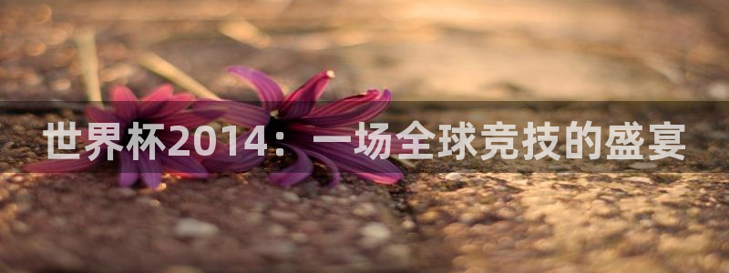 世界杯视频:世界杯2014:一场全球竞技的盛宴