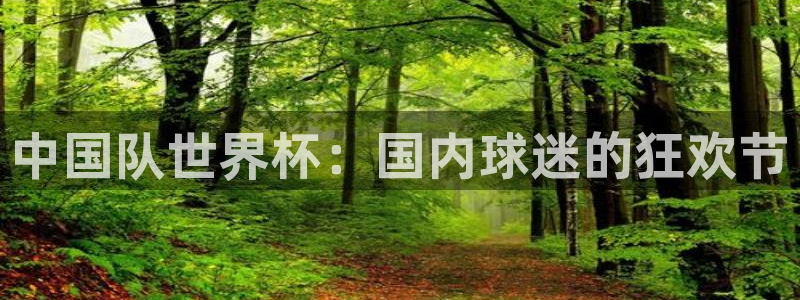 世界杯欧洲预选赛:中国队世界杯:国内球迷的狂欢节