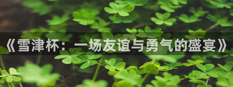 世界杯直播网站:《雪津杯:一场友谊与勇气的盛宴》